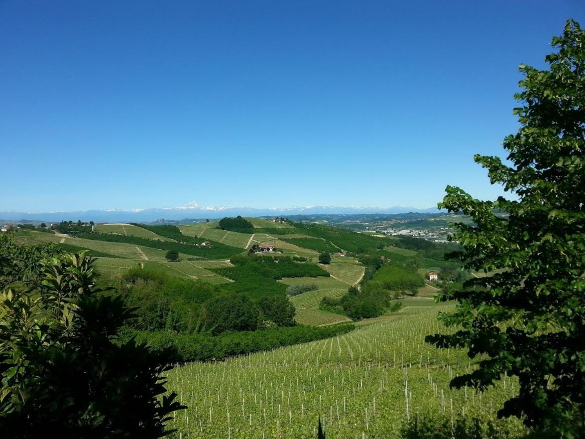 Ca Trifolera Barbaresco - Romantico Cascinale Con Antica Cantina Nel Cuore Delle Langhe - Degustazione Vini Nella Nostra Cantina Экстерьер фото
