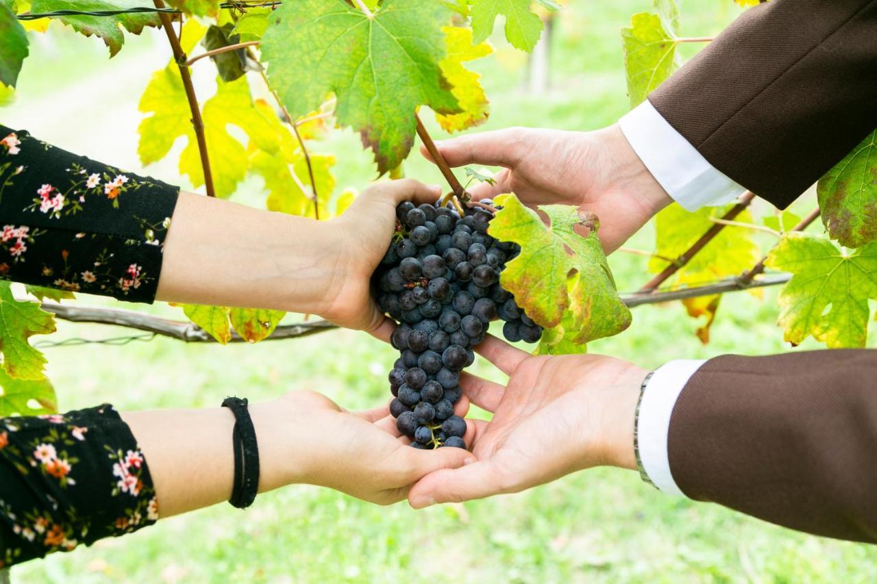 Ca Trifolera Barbaresco - Romantico Cascinale Con Antica Cantina Nel Cuore Delle Langhe - Degustazione Vini Nella Nostra Cantina Экстерьер фото