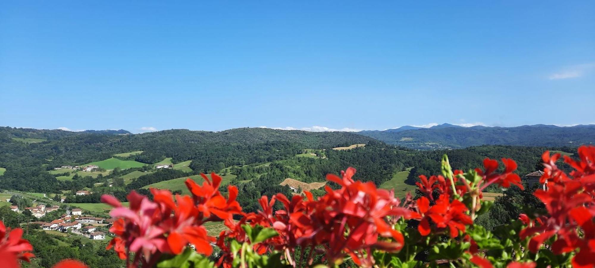 Ca Trifolera Barbaresco - Romantico Cascinale Con Antica Cantina Nel Cuore Delle Langhe - Degustazione Vini Nella Nostra Cantina Экстерьер фото