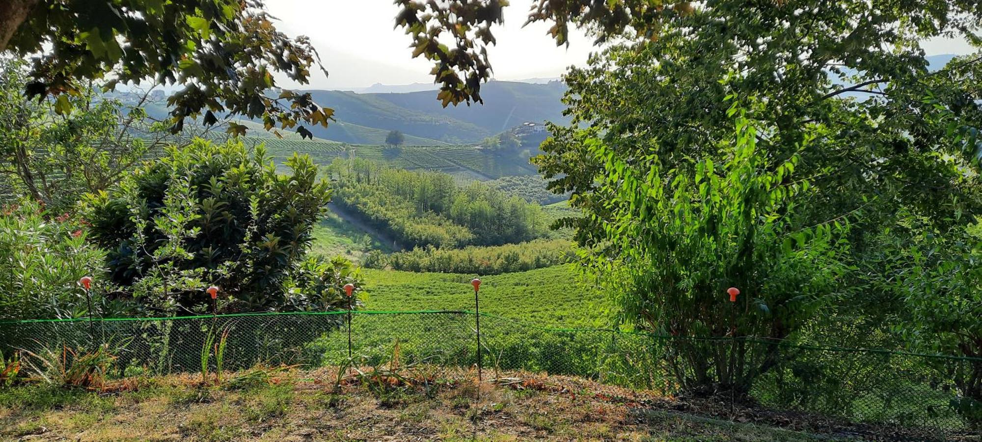 Ca Trifolera Barbaresco - Romantico Cascinale Con Antica Cantina Nel Cuore Delle Langhe - Degustazione Vini Nella Nostra Cantina Экстерьер фото