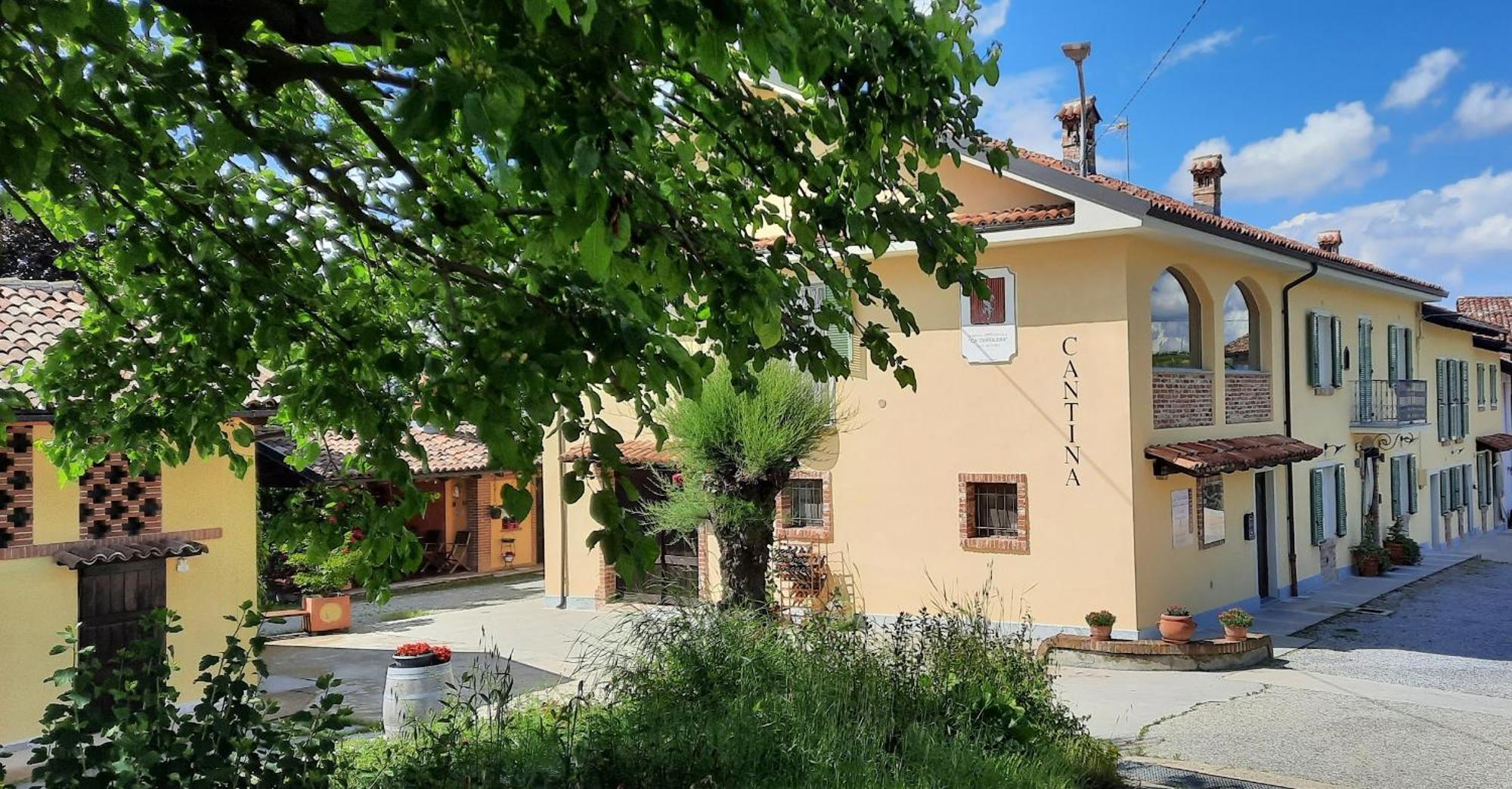 Ca Trifolera Barbaresco - Romantico Cascinale Con Antica Cantina Nel Cuore Delle Langhe - Degustazione Vini Nella Nostra Cantina Экстерьер фото
