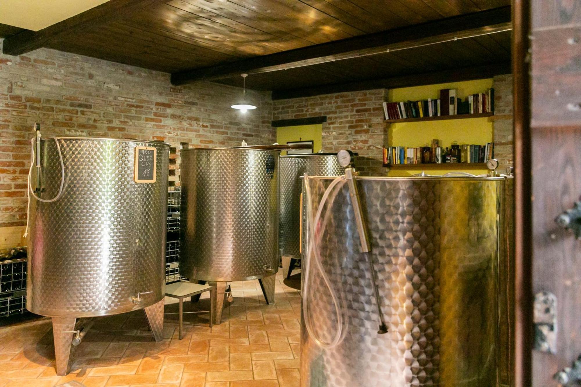 Ca Trifolera Barbaresco - Romantico Cascinale Con Antica Cantina Nel Cuore Delle Langhe - Degustazione Vini Nella Nostra Cantina Экстерьер фото